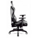 Diablo X-HORN 2.0. Normal gaming chair black and white