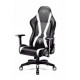 Diablo X-HORN 2.0. Normal gaming chair black and white