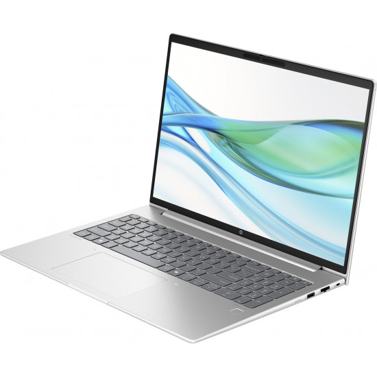 HP ProBook 465 G11 Ryzen 5 7535U 16WUXGA IPS 300nits AG 16GB DDR5 SSD1TB Radeon 660M 56Wh Win11 Pike Silver 2Y OnSite