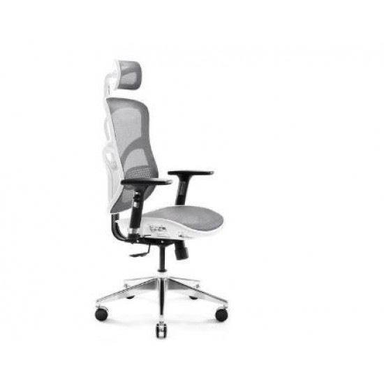 Diablo V-BASIC gaming chair white and grey