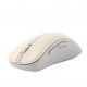 MOUSE USB OPTICAL WRL MD102/BEIGE 90XB0900-BMU000 ASUS