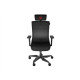 Ergonomic Chair Genesis Astat 700 G2 Black