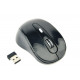 Gembird MUSW-6B-01 mouse Office Right-hand RF Wireless Optical 1600 DPI