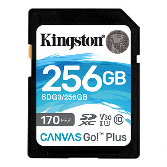 Kingston | Canvas Go! Plus | 256 GB | Flash memory class 10