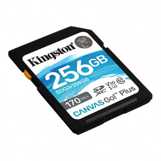 Kingston | Canvas Go! Plus | 256 GB | Flash memory class 10