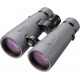 Bresser Optics 1720857 binocular BaK-4 Grey