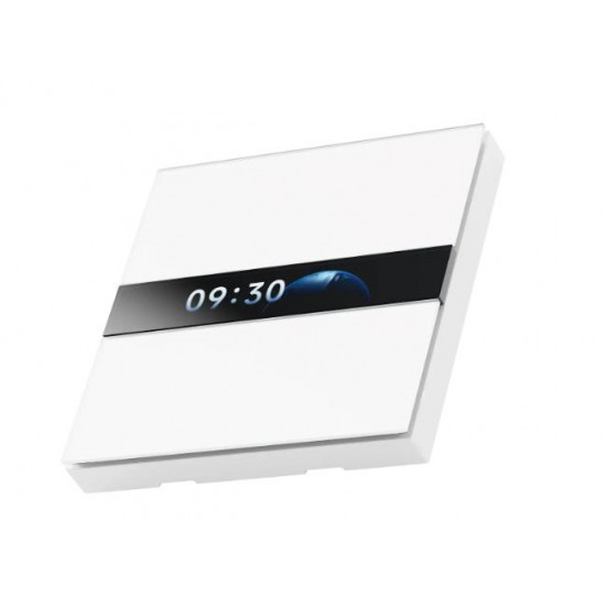 SMART HOME DISPLAY SWITCH V1/WS-K02D AQARA