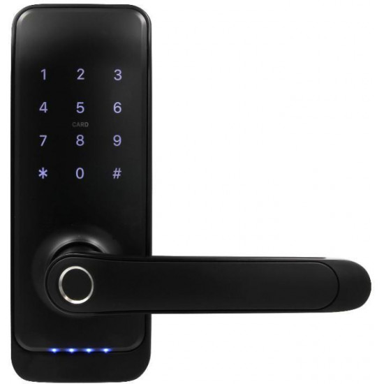 Handle with access controller EURA ELH-01H4 black