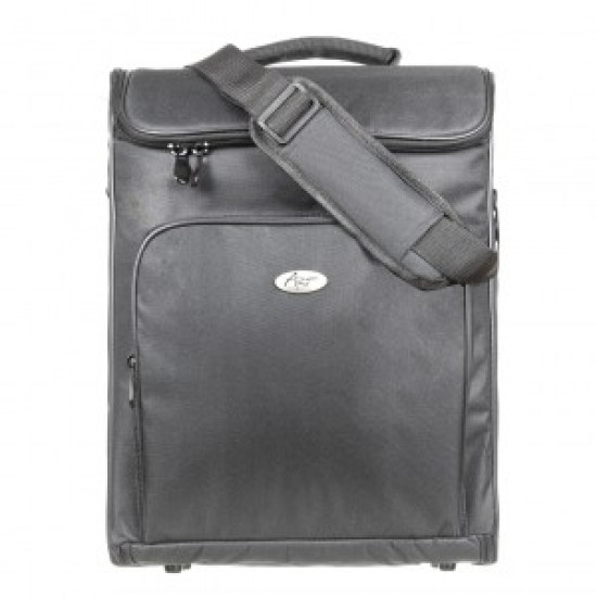 Projector bag AB-201