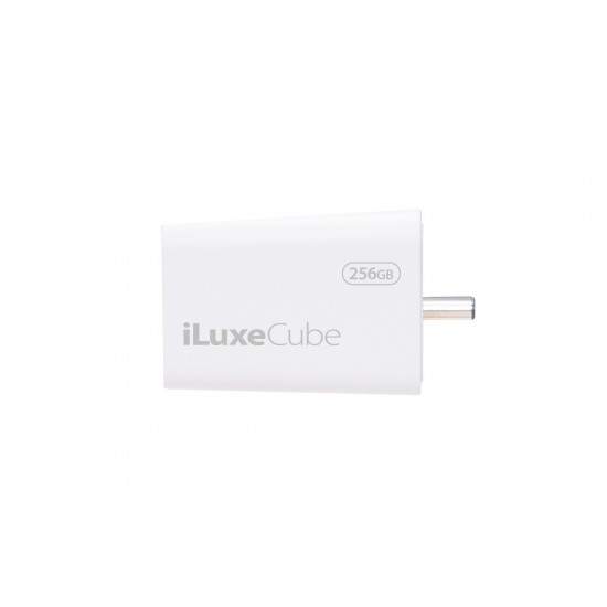 iLuxe Cube C 256GB USB 3.2 Gen 1 Type C