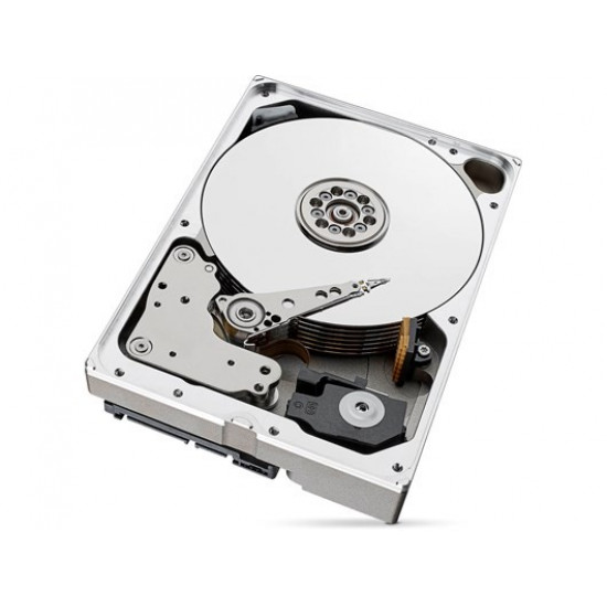 Drive SkyHawkAI 10TB 3,5 256MB ST10000VE001