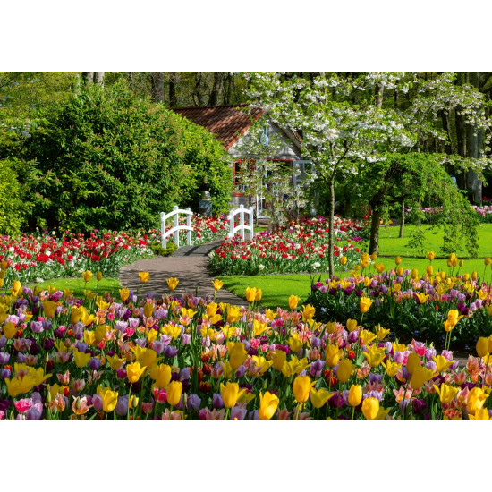 Puzzle 1000 pieces Gardens Keukenhof Holand