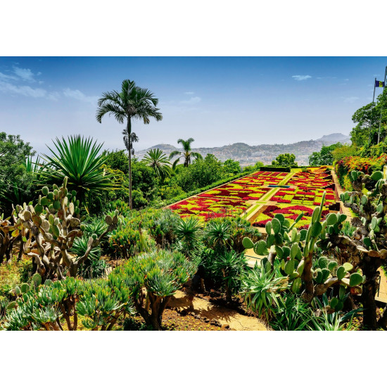 Puzzle 1000 pieces Botanical Garden Madeira Portugal