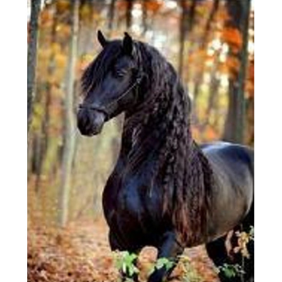 Diamond mosaic - Black Horse