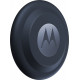 MOTOROLA NANO TAG BLUEBERRY