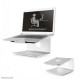 NEWSTAR NOTEBOOK DESK STAND (ERGONOMIC, 360 DEGREES ROTATABLE)