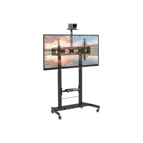 TECHLY Floor Stand Height Adjustable 2 Shelves LCD / LED 52-110inch