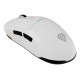 GENESIS Zircon 660 mouse Gaming Right-hand RF Wireless + Bluetooth + USB Type-A Optical 12000 DPI