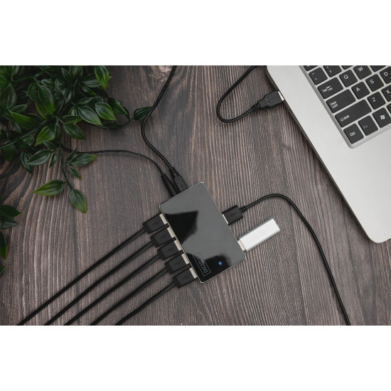 Digitus USB 2.0 Hub, 10-Port