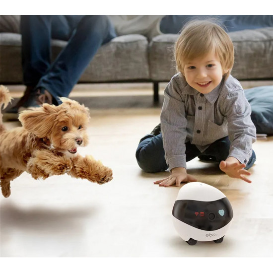 Enabot EBO SE  Robot IP Camera Compact N/A MP N/A 16GB external memory, support 256GB at maximum