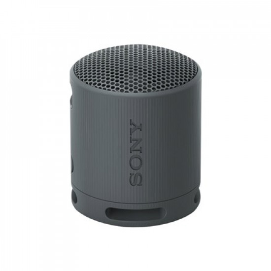 Sony SRS-XB100 - hojttaler - til trans