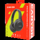 CANYON BTHS-3, Canyon Bluetooth headset,with microphone, BT V5.1 JL6956, battery 300mAh, Type-C charging plug, PU material, size:168*190*78mm, charging cable 30cm and audio cable 100cm, Dark grey