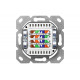 CAT 6, Class E, Wall Outlet, shielded, surface mount