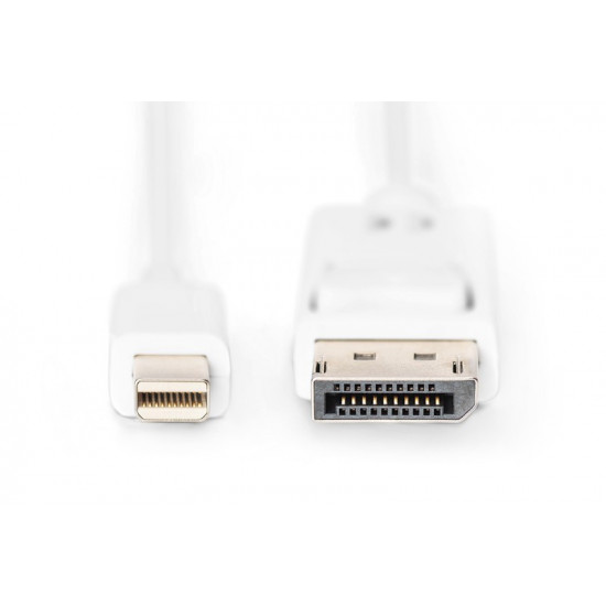 Cable DisplayPort 1.1a Mini DP-DP M / M 2.0m