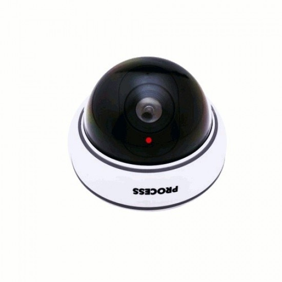 Dummy camera DC2300