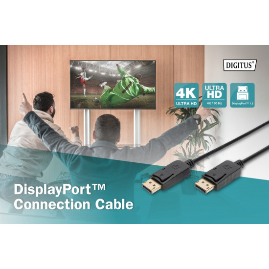 DisplayPort1.2 Cable 1m DP/DP M/M