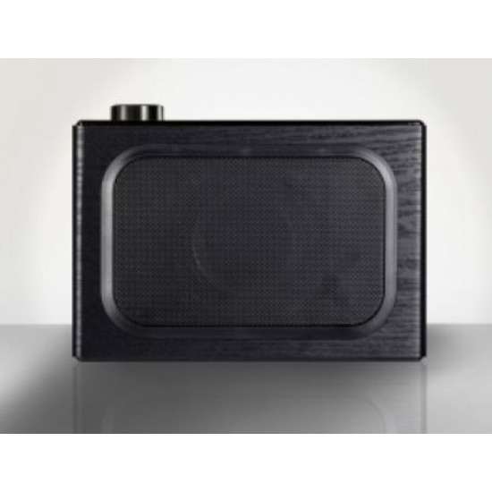 Internet radio X100 LCD color 3,2 - black