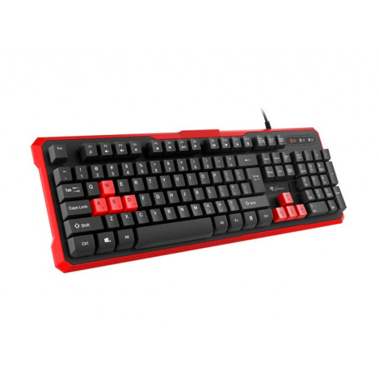 Gaming keyboard Genesis Rhod 110