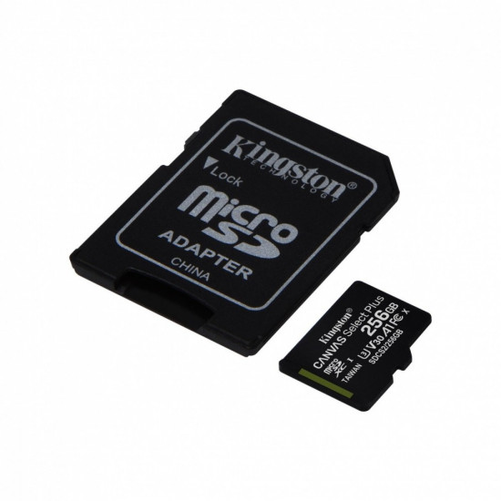 Memory card microSD 256GB Canvas Select Plus 100/85MB/s