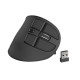 Wireless mouse Euphonie black