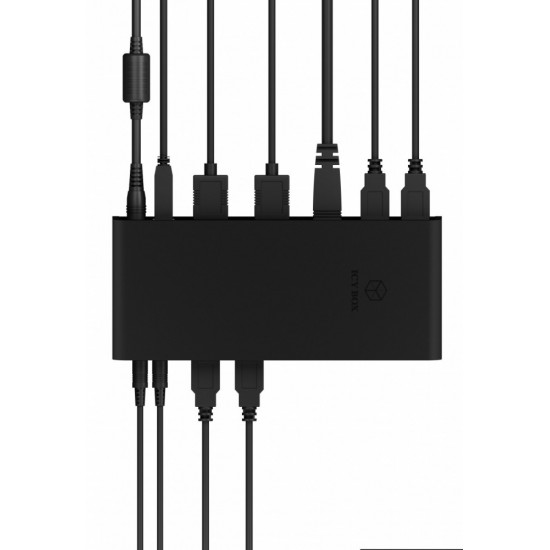 ICY BOX IB-DK2251AC notebook docking statio