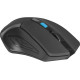 OPTICAL MOUSE ACCURA MM-275 RF BLACK-BLUE