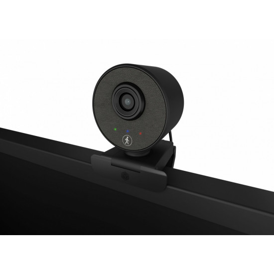 ICY BOX IB-CAM501-HD FHD Webcam,1080P,Mic