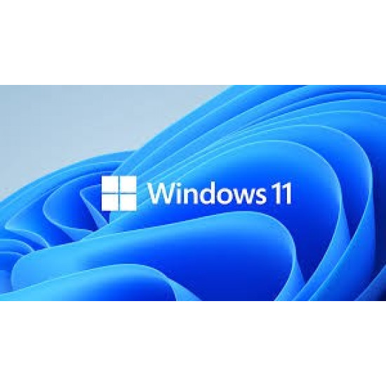 OEM Windows 11 Pro for Workstations PL x64 HZV-00117