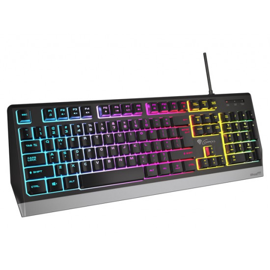 Gaming keyboard Genesis Rhod 300 RGB