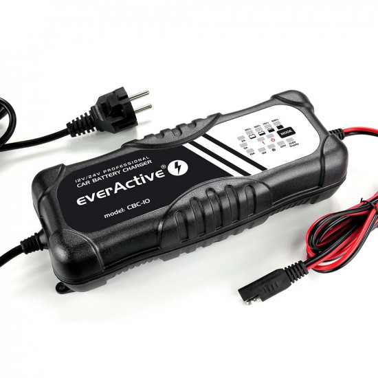 CAR BATTERY CHARGER 12V /24V