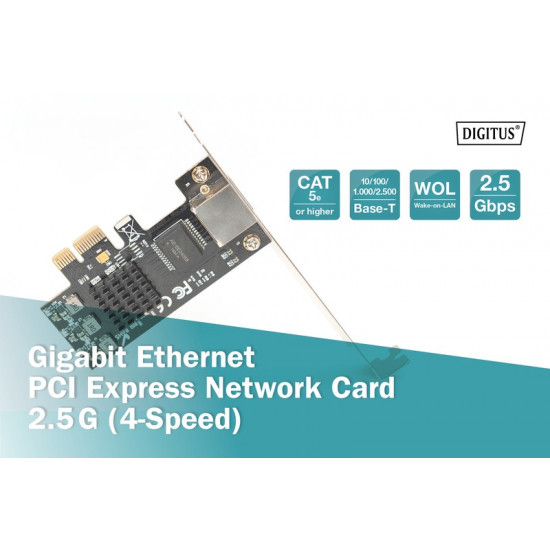 PCI Express Network Card DN-10135