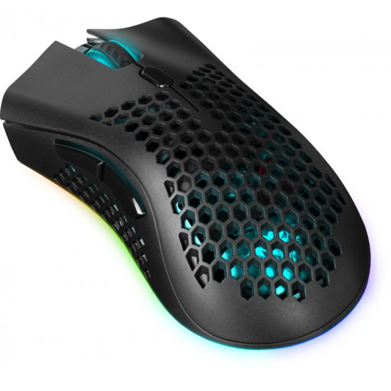 WIRELESS GAMINGO MOUSE WARLOCK GM-709L