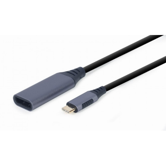 USB-C to DisplayPort Adapter