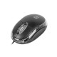 Mouse Vireo 2 1000 DPI black optical USB