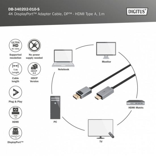 DP to HDMI Adapter Cable DB-340202-010-S