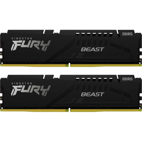 DDR5 Fury Beast Black 64GB(232GB)/5600 CL36