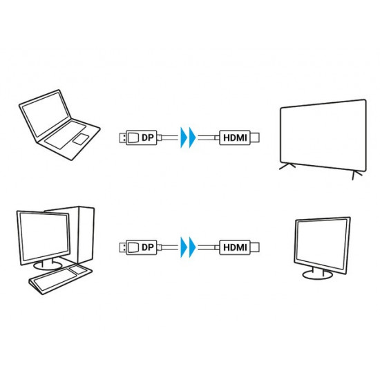 Cable DisplayPort (M) V1.1 - HDMI (M) 1m black