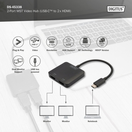 Video adapter 2-ports DS-45338