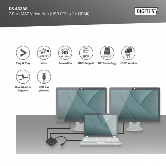 Video adapter 2-ports DS-45338