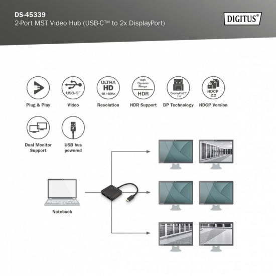 Video adapter 2-ports DS-45339